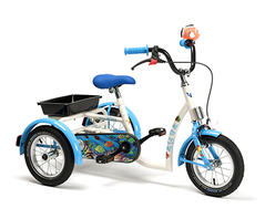Tricycle Aqua / Safari